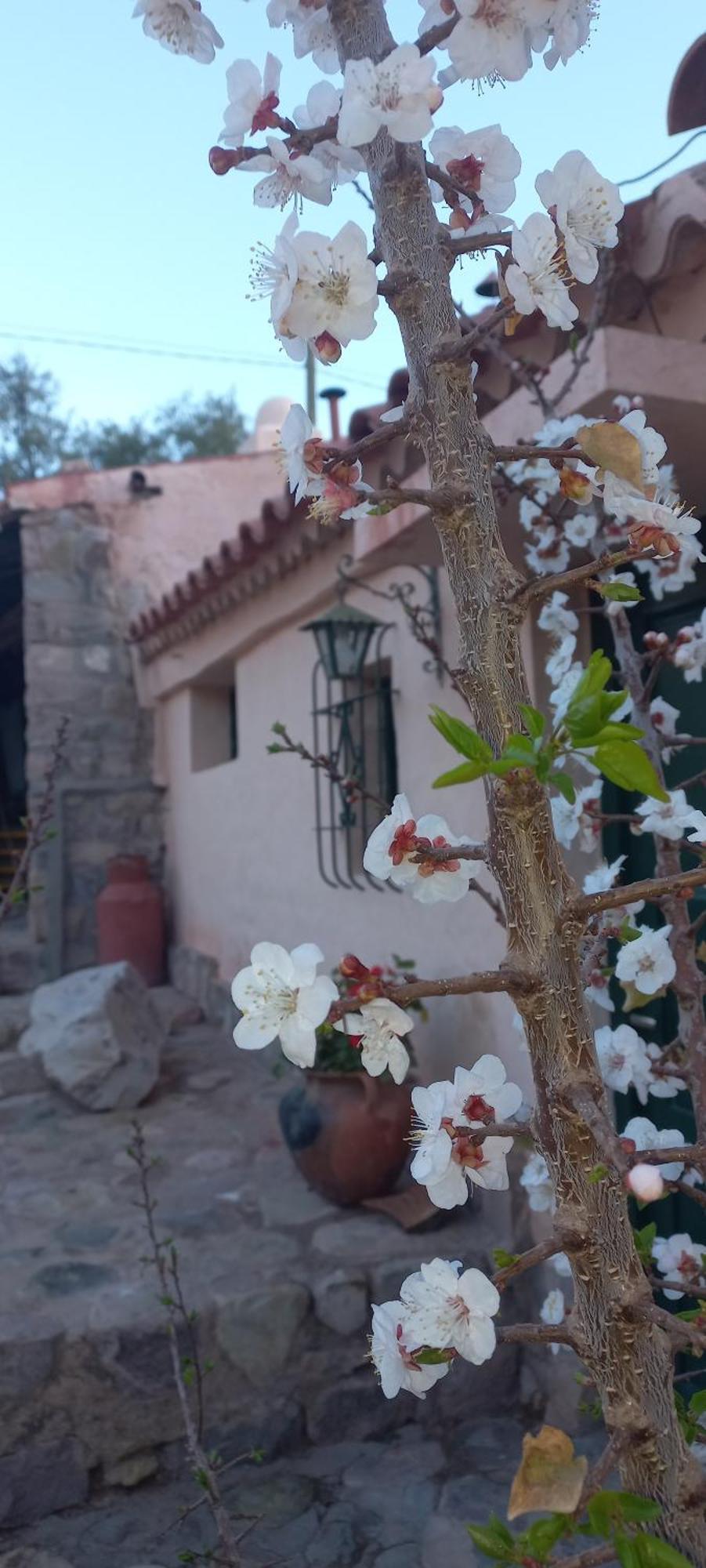 Los Arcabuceros Casa Hotel Boutique Tilcara Buitenkant foto