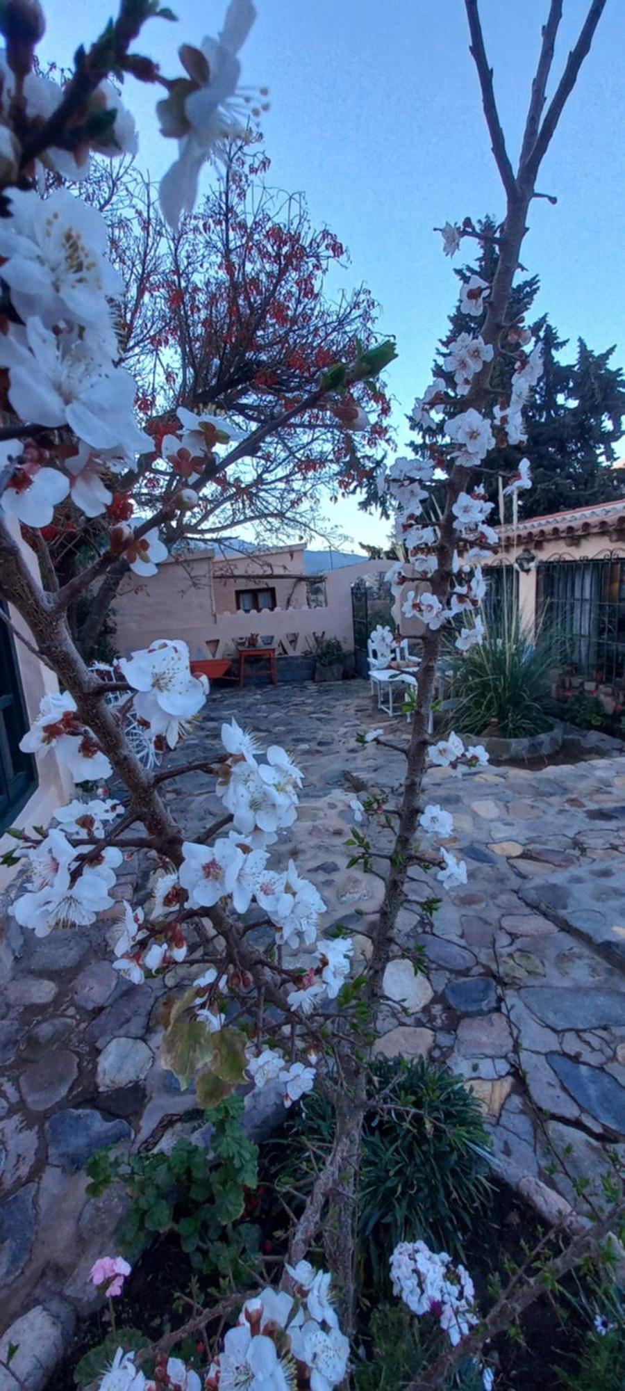 Los Arcabuceros Casa Hotel Boutique Tilcara Buitenkant foto
